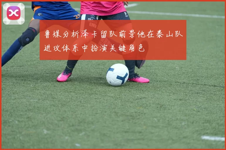 鲁媒分析泽卡留队前景他在泰山队进攻体系中扮演关键角色