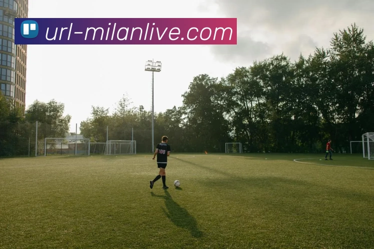 米兰体育服务体系